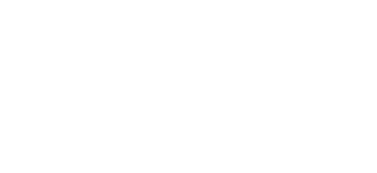 Our Vision